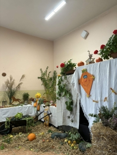 Bálešové hody